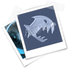 Aqualo - Der Aquaristik Shop