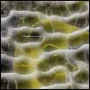 Organische Textur